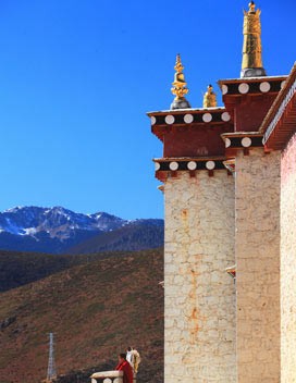 ������������������ ����ǿ����