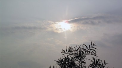 佛理禅机:放弃有时是最好的诠释与幸福
