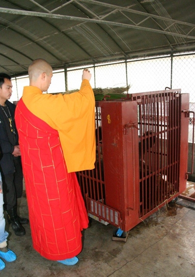 拯救黑熊活动