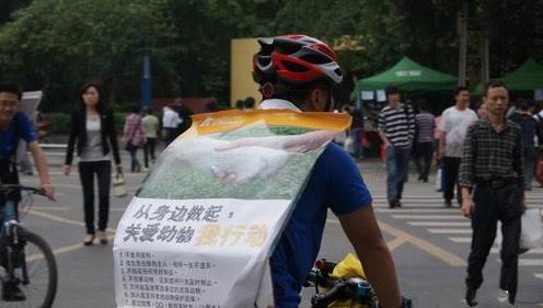 成都拜客:关爱小动物行动