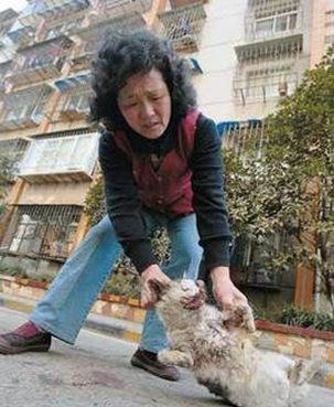 ��������ǹ����ĸè����è��˫�۱���