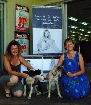 �����ƴ��������ױ��Ǹ�Ů��Ƭ��������