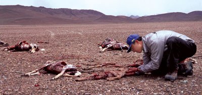 ��־ũ����������µĶ���