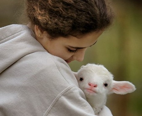 ��ë��˿��Ƥ����޷����ڵ�����