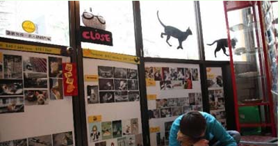 ������조è�ռ䡱Ϊ800ֻèѰ������