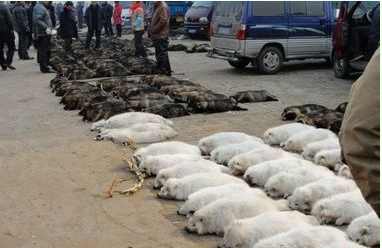 �����Ƴɵ��·�������������𣿶����Ƴɵ��·��������������