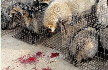 �����Ƴɵ��·��������������