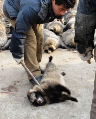 �����Ƴɵ��·��������������