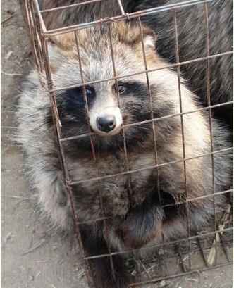 �����Ƴɵ��·��������������