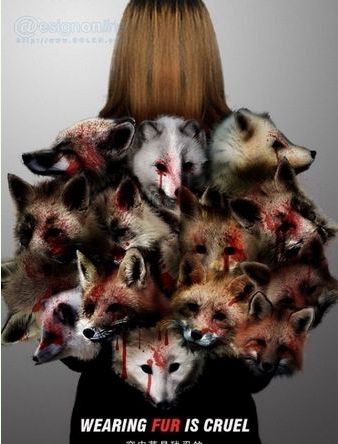 �����Ƴɵ��·��������������