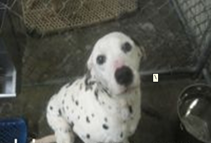 רҵʵ����о�����˾�����Ե׵���