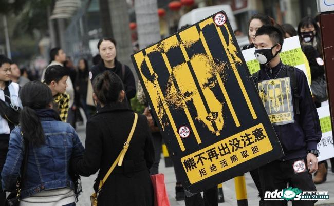 归真堂遭围观志愿者扮熊模仿被取胆 归真堂遭围观志愿者扮熊模仿被取胆