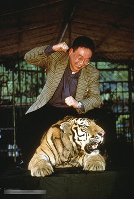动物之殇,人类不可承受之重