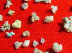 什么是舍利花?舍利花几则实例故事 什么是舍利花?舍利花几则实例故事